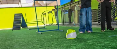Pista de treinamento da Dog School Academy com argola e obstáculos