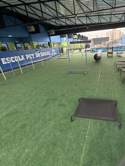 Área de treino da Dog School Academy com obstáculos de agility