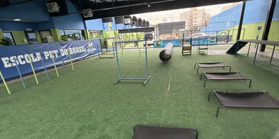 Pátio coberto da Dog School Academy com grama sintética e obstáculos