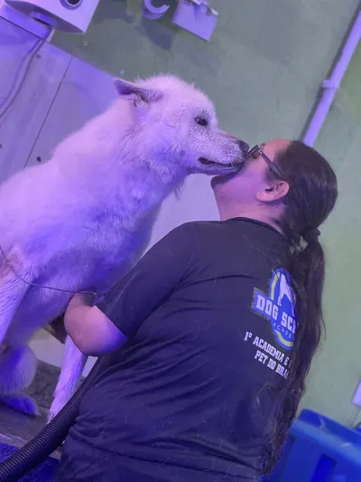 Cão branco recebendo carinho da tosadora