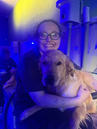 Golden retriever no colo da profissional depois do banho