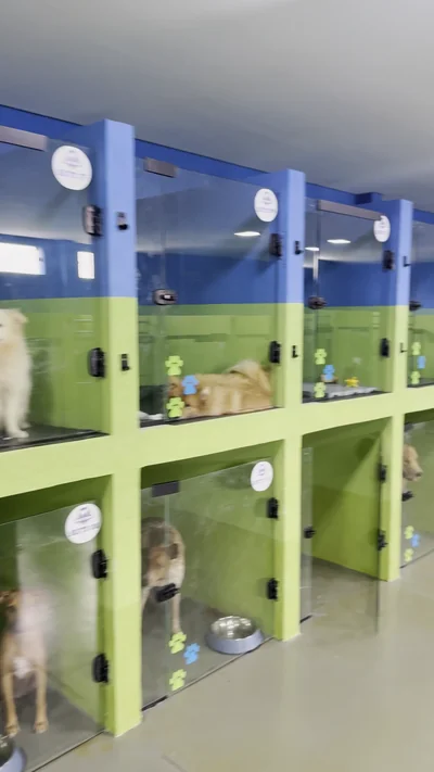 Corredor de suítes do hotel pet com um cão em cada quarto