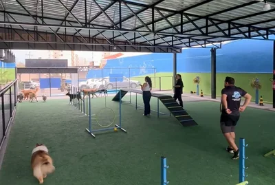 Cão correndo no gramado do recreio ao lado da monitora