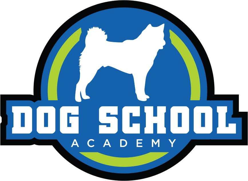 Dog School Academy